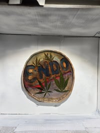 Image 2 of Endo tray
