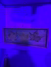 Image 2 of Square 3 tray 