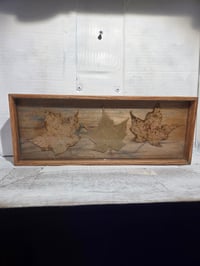 Image 1 of Square 3 tray 