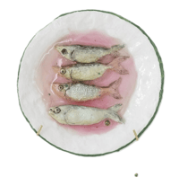 "Tin of Sardines But in Pink"