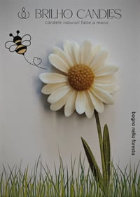 Image 2 of PETALI DI CERA