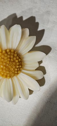 Image 3 of PETALI DI CERA