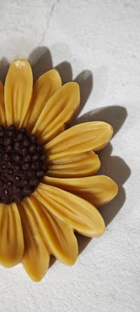 Image 5 of PETALI DI CERA