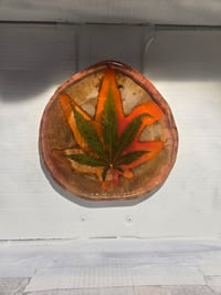 Image 2 of Leaf12 tray