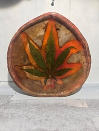 Image 3 of Leaf12 tray