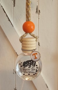 Image 5 of Car jar diffuser with choice of charm  & over 100 fragrance choices 