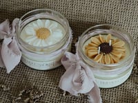 Image 1 of FIORI-SCI