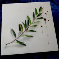 Image 1 of Bloody Olive Branch