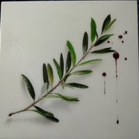 Image 3 of Bloody Olive Branch