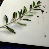 Image 4 of Bloody Olive Branch