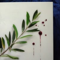 Image 5 of Bloody Olive Branch