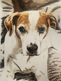 Image 1 of Animal Watercolor Portraits