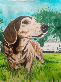 Image 5 of Animal Watercolor Portraits