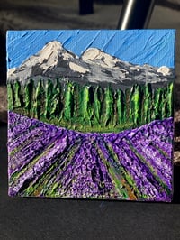 Image 1 of Lavender Field