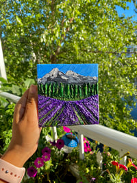 Image 2 of Lavender Field