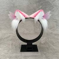 Image 1 of Pink Fairy Kitten