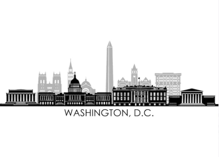 Image of Washington DC Eaton / Laster Family Picnic Shirts 
