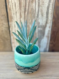 Image 4 of Cheery Stilted Planter  (2.5" deep x 3" wide)