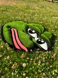 Image 3 of “Pepe the frog” 3D rug