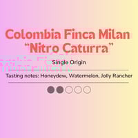 Colombia Finca Milan Nitro Caturra - 6oz Light Roast