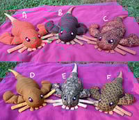 Image 5 of Eurypterid Plush