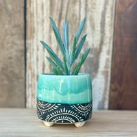 Image 1 of Cheery Stilted Planter  (2.5" deep x 3" wide)
