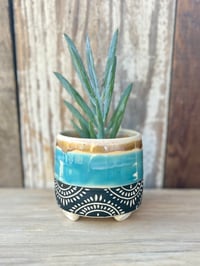 Image 4 of Discounted-Cheery Stilted Planter (2.5" deep x 3" wide)