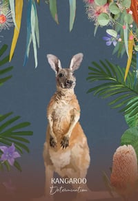 Image 2 of Wild Wisdom Australia