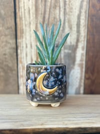 Image 1 of Milky Way Moon Planter (3" deep x 3" wide)