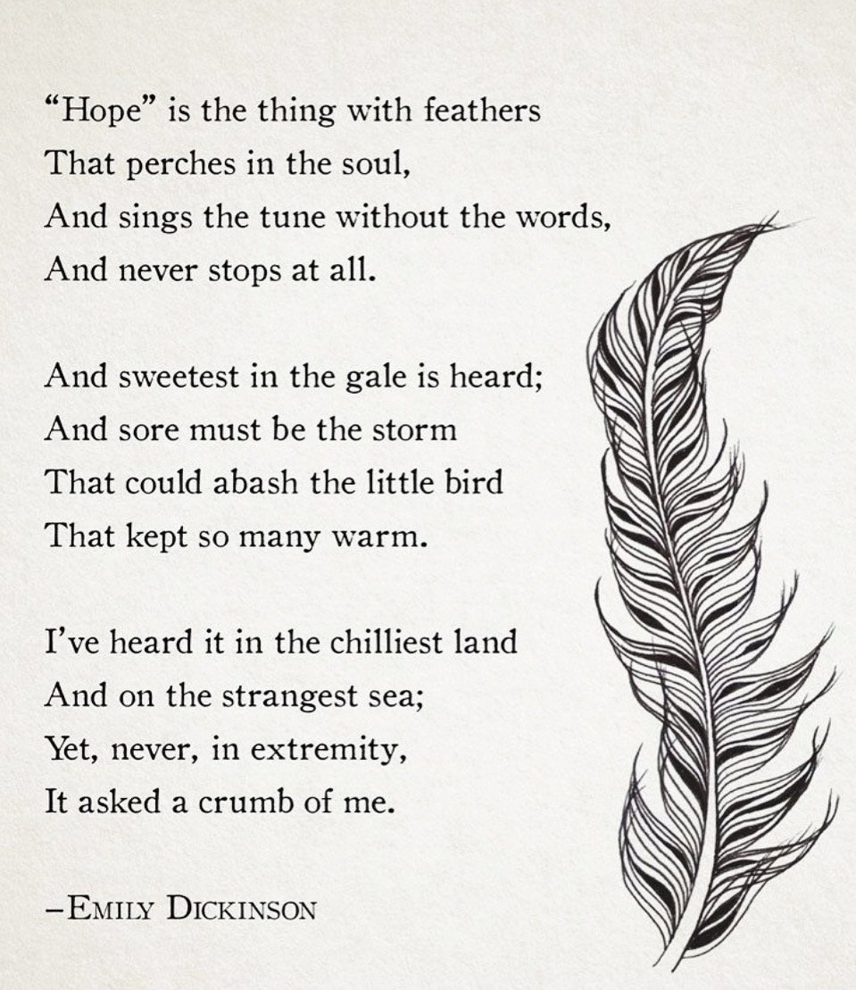 Image of Adult Purple Martin Tee