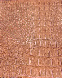 Image 3 of GATOR D-BELT