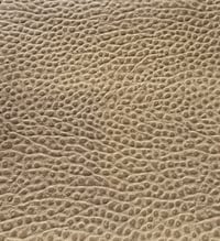 Image 5 of OSTRICH D-BELT