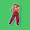 STRAY FIGHTER STICKER