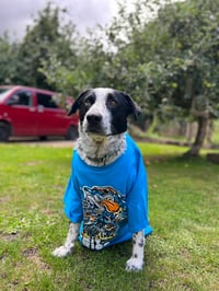 Image 1 of KIT TRIGG NAUGHTY SHARK TEE