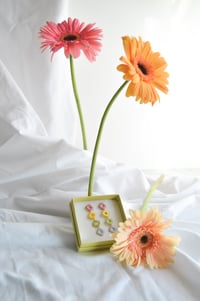 Image 2 of Cuarteto color pastel