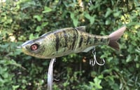 Image 1 of SPEEDBAITS Custom Airbrushed Swimbait 4188