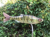 Image 2 of SPEEDBAITS Custom Airbrushed Swimbait 4188