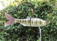 Image 3 of SPEEDBAITS Custom Airbrushed Swimbait 4188