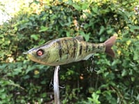 Image 4 of SPEEDBAITS Custom Airbrushed Swimbait 4188