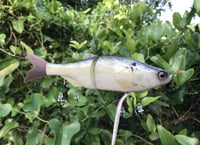 Image 2 of SPEEDBAITS Custom Airbrushed Swimbait 9624