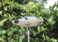 Image 3 of SPEEDBAITS Custom Airbrushed Swimbait 9624