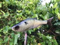 Image 4 of SPEEDBAITS Custom Airbrushed Swimbait 9624