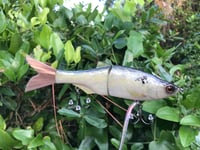 Image 5 of SPEEDBAITS Custom Airbrushed Swimbait 9624
