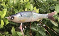 Image 1 of SPEEDBAITS Custom Airbrushed Swimbait 5454