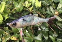 Image 2 of SPEEDBAITS Custom Airbrushed Swimbait 5454