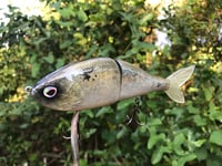 Image 4 of SPEEDBAITS Custom Airbrushed Swimbait 7865