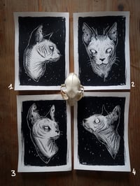 Image 1 of Sérigraphie "Dark sphinx cats"