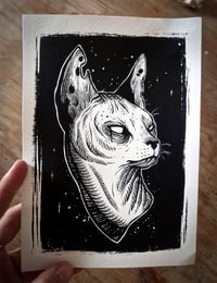 Image 2 of Sérigraphie "Dark sphinx cats"