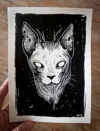 Image 3 of Sérigraphie "Dark sphinx cats"