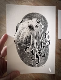Image 5 of Sérigraphie "¨Petits poulpes"